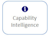 Capability Intelligence - Analytics