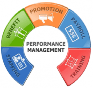 formal performance management