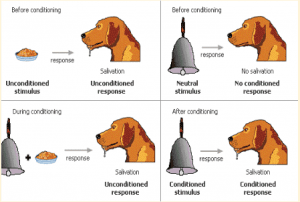 classical conditioning