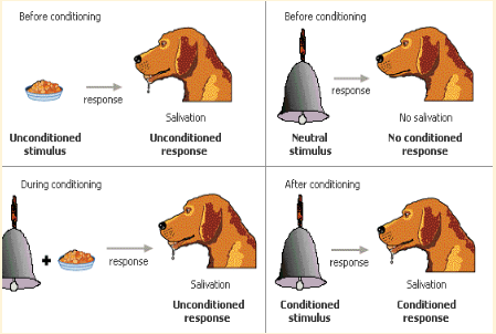 classical conditioning work performance -classical conditioning