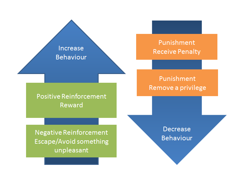 consequences2 Work Performance - Behavioural Psychology - Consequences
