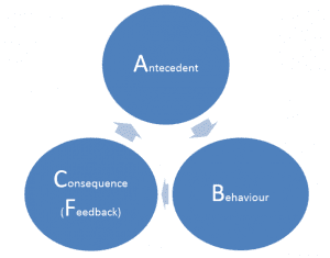 ABC model