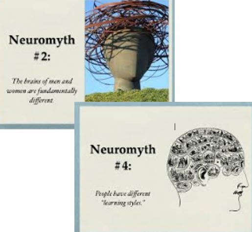 neuromyths