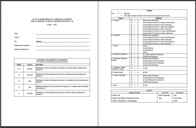 performance appraisal form