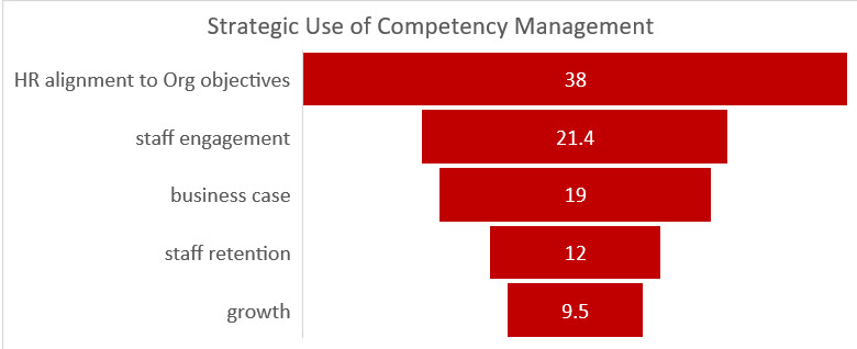 strategic use of Competency Management