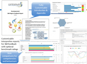 individual 360 feedback report